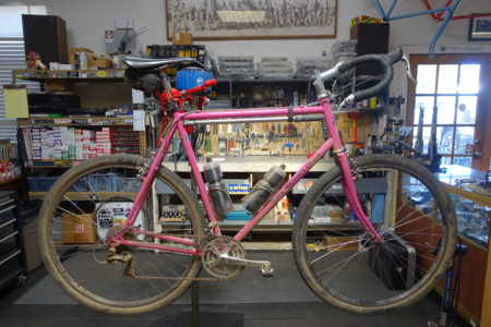 Big Pink - 64cm